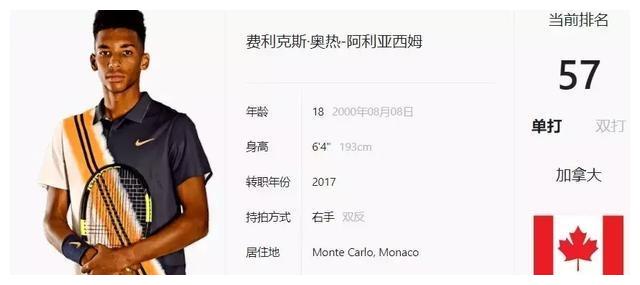 合并损失 合并损失